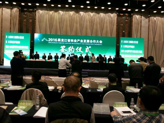 仟億達(dá)831999碳交易業(yè)界影響力較強(qiáng)，副總田衛(wèi)然接受黑龍江廣播電視臺采訪