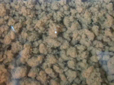 污泥、活性污泥粒狀顆粒